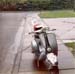 Adam's Scooter (14)