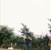 Scan0056