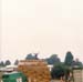 Scan0066